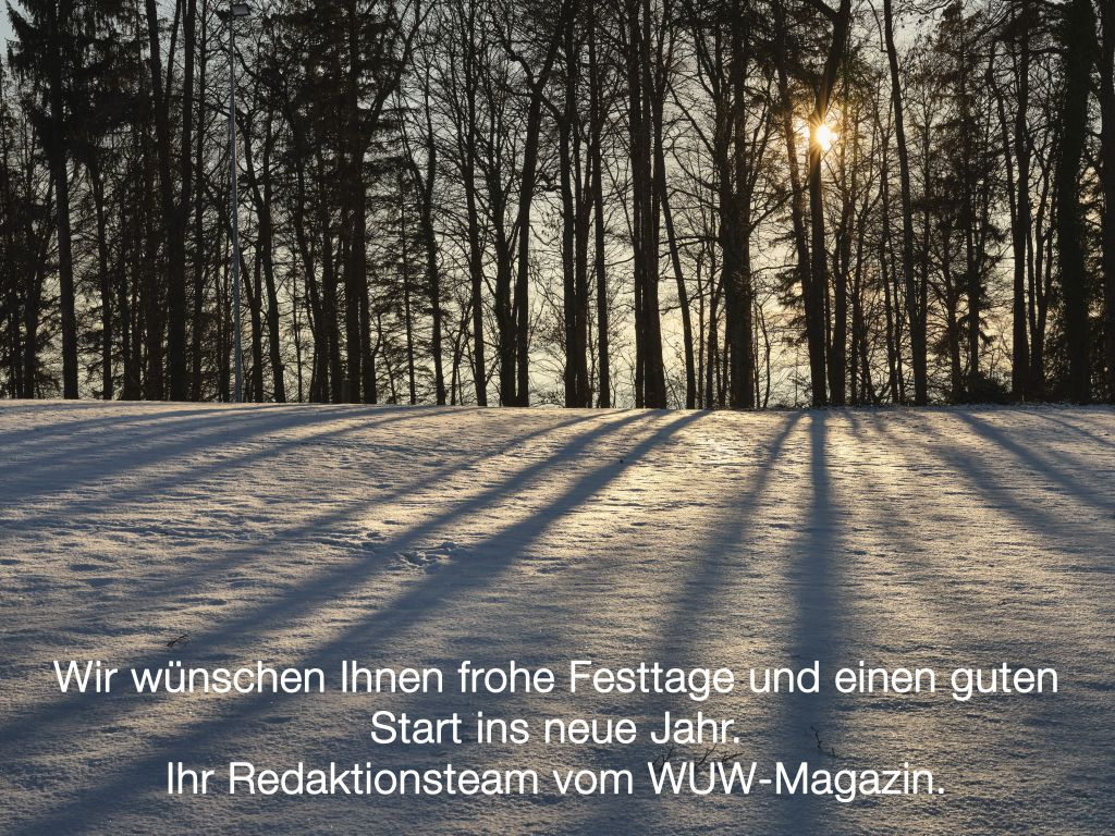 Winterwald im Gegenlicht. Foto: © Werner Mäder, Uetikon 